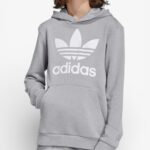 adidas originals trefoil hoodie grey ge1979 1 1