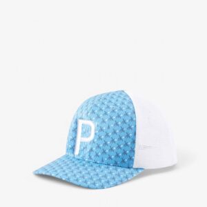 PUMA Palms Trucker P Snapback Cap Blue/White